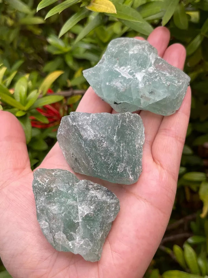 Large Green Fluorite Raw Natural Stone 2 - 2.5 inches, Wholesale Bulk Lot