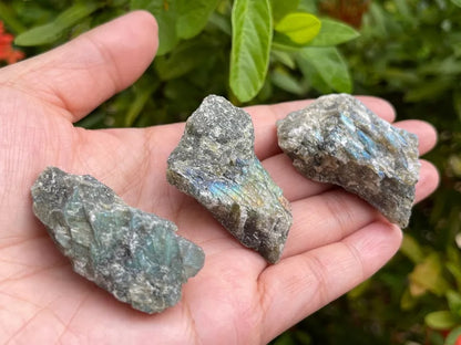 Grade A++ Labradorite Raw Natural Stone, 1"-2" Rough Labradorite, Wholesale Lot