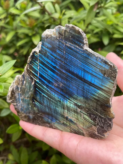 Natural Labradorite Slab, High Flash Free Standing Display Specim, Pick a Weight