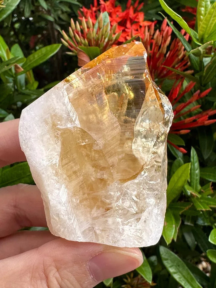 Standing Citrine Top Polished Rough Point, Deep Orange Citrine Crystal Cut Base