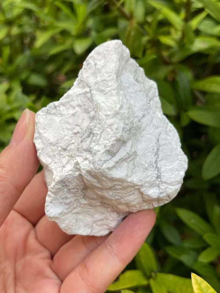 Large White Howlite Rough Natural Stones, 2-3.5" Raw Howlite Stones,Pick a Weigt