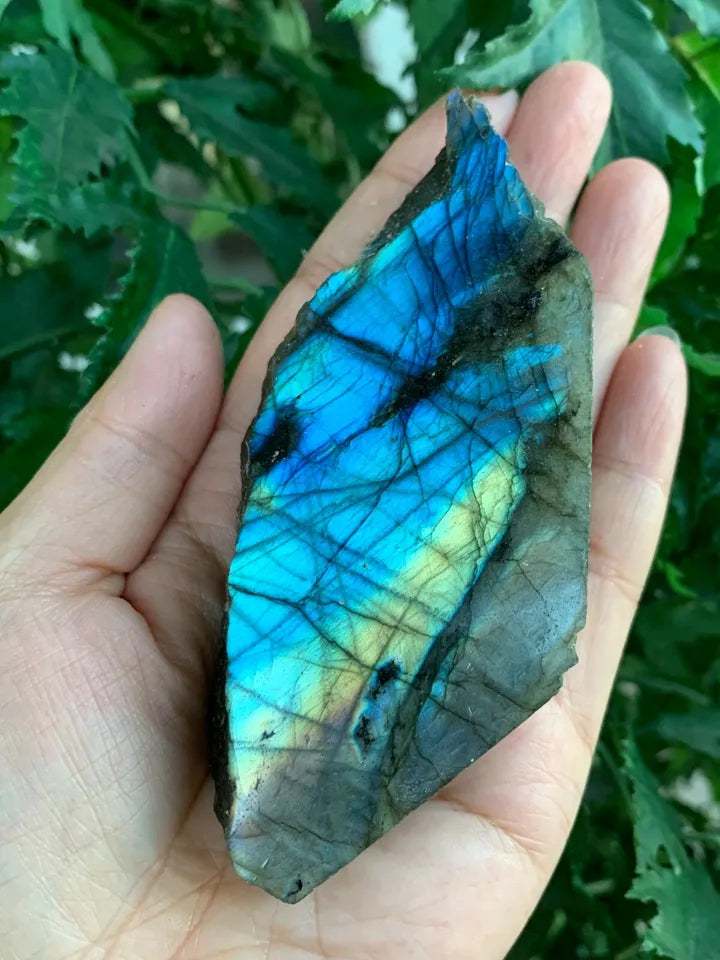 Natural Labradorite Slab, 1.25" - 5" High Flash Raw Labradorite, Pick a Size