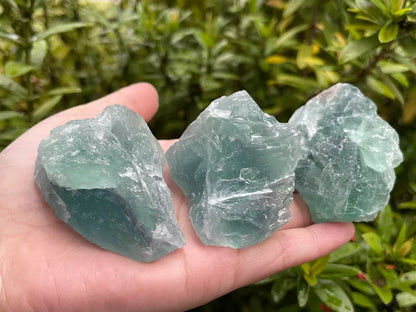 Large Green Fluorite Raw Natural Stone 2 - 2.5 inches, Wholesale Bulk Lot