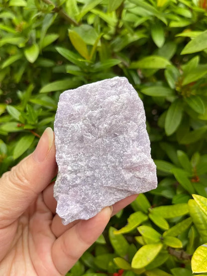 Large Lepidolite Raw Stone 2" - 3", Natural Rough Lepidolite, Wholesale Bulk Lot