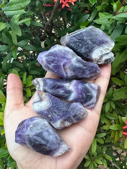 Grade A++ Chevron Amethyst Rough Stones, 2.5" - 4" Natural Chevron Amethyst Point