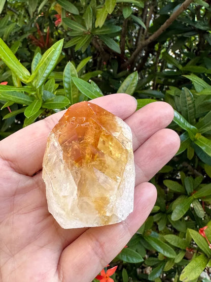 Standing Citrine Top Polished Rough Point, Deep Orange Citrine Crystal Cut Base