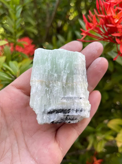 Large Rough Pistachio Calcite Stone, 2-3" Raw Aqua Calcite, Wholesale Bulk Lot