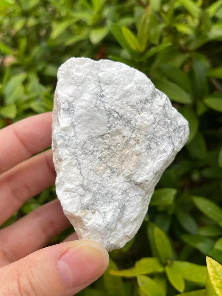 Large White Howlite Rough Natural Stones, 2-3.5" Raw Howlite Stones,Pick a Weigt