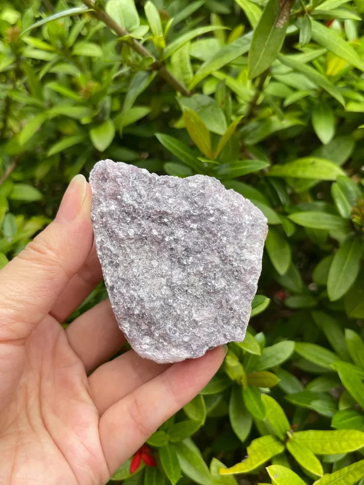 Large Lepidolite Raw Stone 2" - 3", Natural Rough Lepidolite, Wholesale Bulk Lot