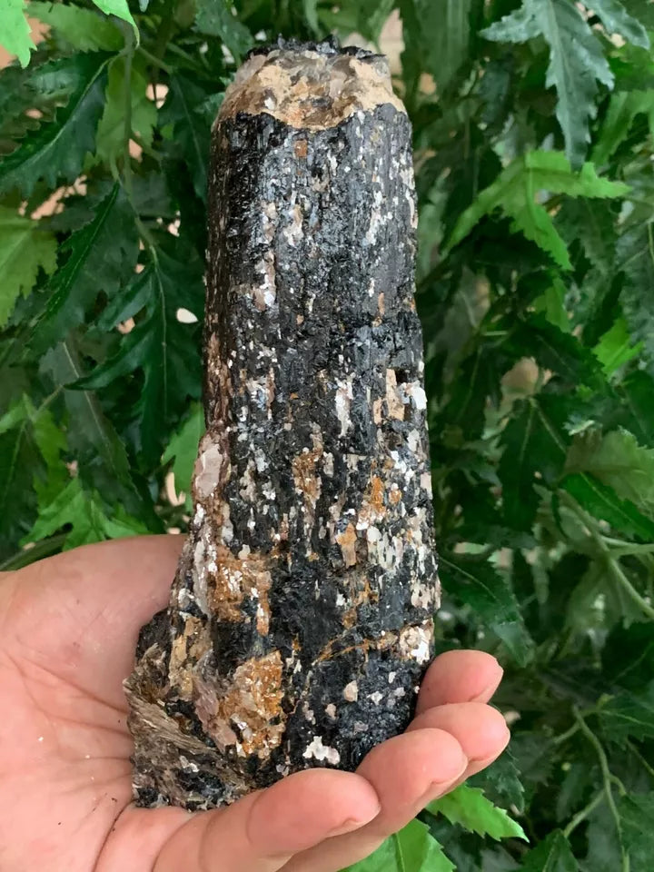 Extra Large Black Tourmaline Chunk / Rod / Log, Natural Rough Black Tourmaline