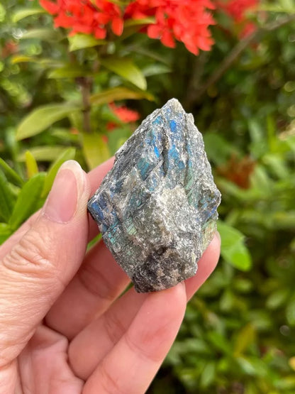 Grade A++ Labradorite Raw Natural Stone, 1"-2" Rough Labradorite, Wholesale Lot