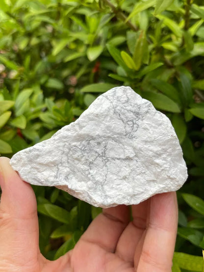 Large White Howlite Rough Natural Stones, 2-3.5" Raw Howlite Stones,Pick a Weigt