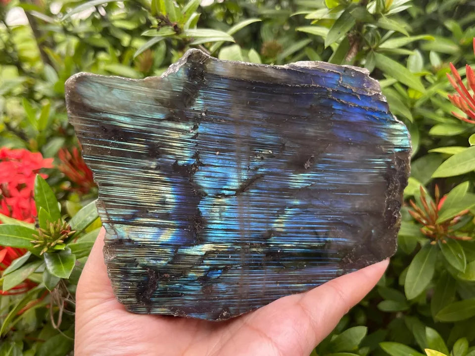 Natural Labradorite Slab, High Flash Free Standing Display Specim, Pick a Weight