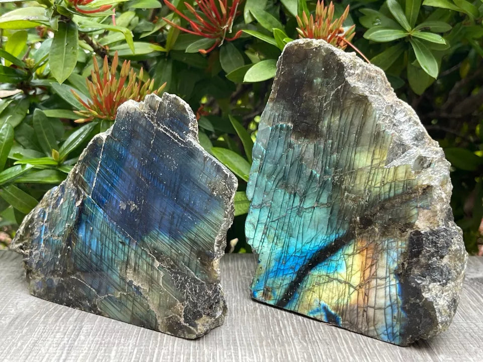 Natural Labradorite Slab, High Flash Free Standing Display Specim, Pick a Weight