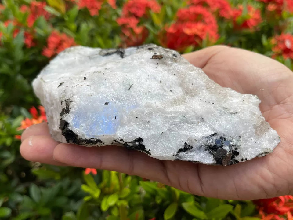 EX Large Rainbow Moonstone Raw Natural Stone,2.5-10 Inch Rough Rainbow Moonstone