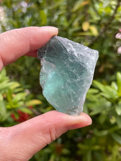 Large Green Fluorite Raw Natural Stone 2 - 2.5 inches, Wholesale Bulk Lot