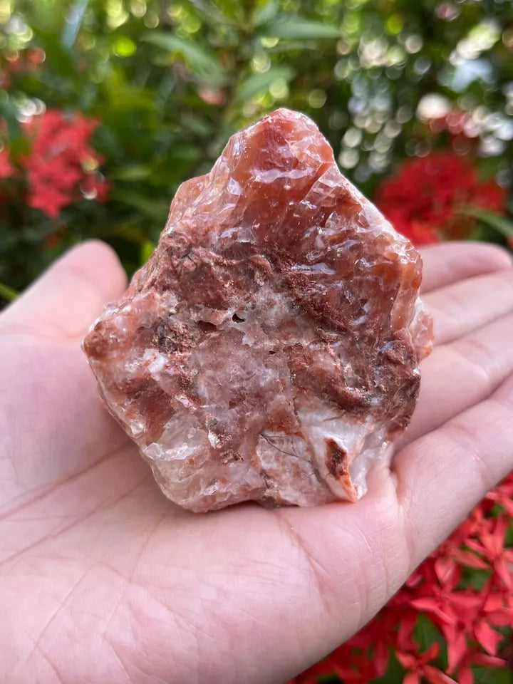 Extra Large Red Calcite Rough Stones, 2" - 3" Raw Calcite Red Natural