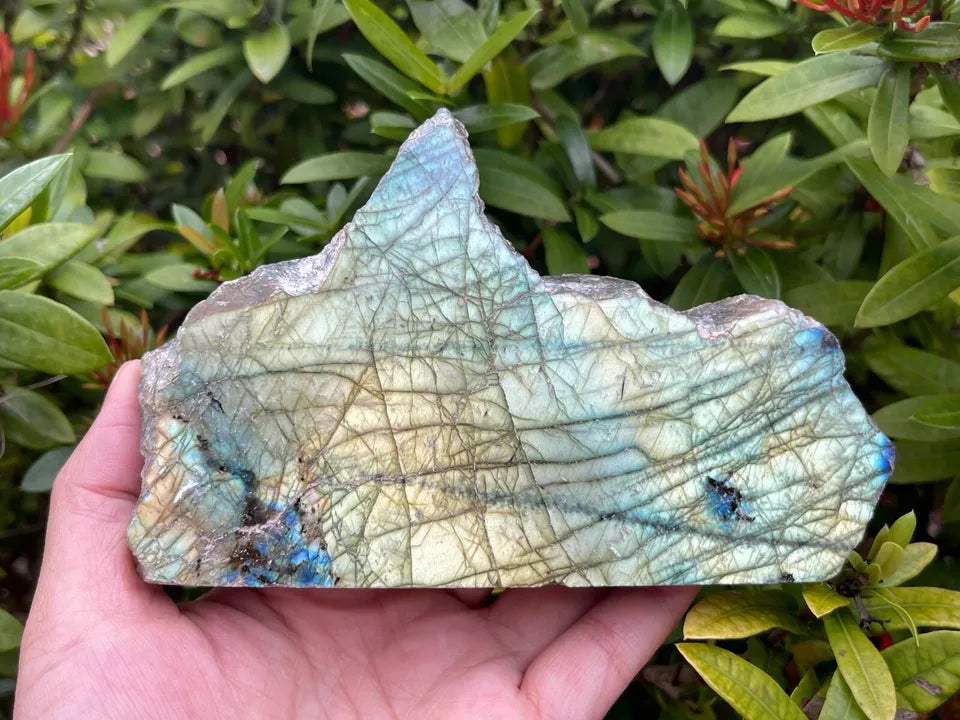 Natural Labradorite Slab, High Flash Free Standing Display Specim, Pick a Weight