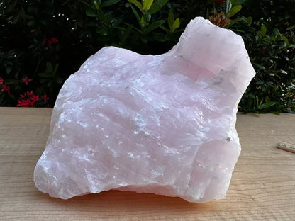 Jumbo Pink Calcite, 2.5" - 10" Raw Mangano Calcite, Pick A Weight