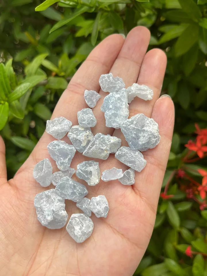 Raw Celestite Rough Stones, Small Rough Celestite, Blue Crystals, Wholesale Lot