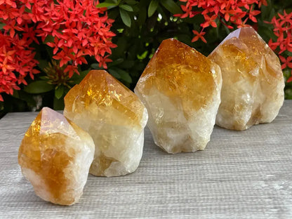 Standing Citrine Top Polished Rough Point, Deep Orange Citrine Crystal Cut Base