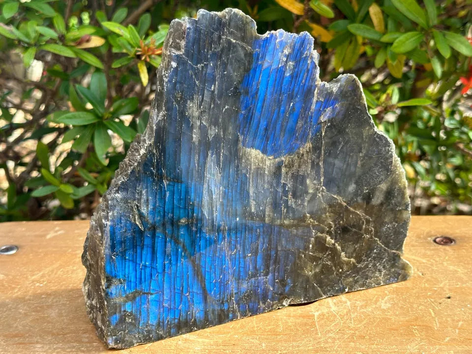 Natural Labradorite Slab, High Flash Free Standing Display Specim, Pick a Weight