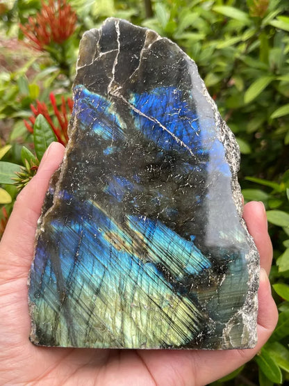 Natural Labradorite Slab, High Flash Free Standing Display Specim, Pick a Weight