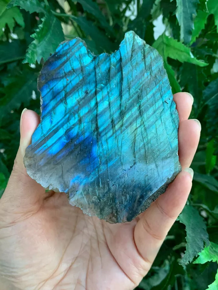 Natural Labradorite Slab, 2" - 4" High Flash Raw Labradorite, Pick a Weight